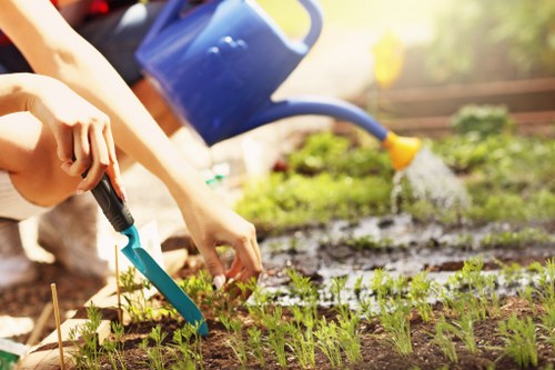 Team introducing landscaping services in Croydon with a planned garden design
