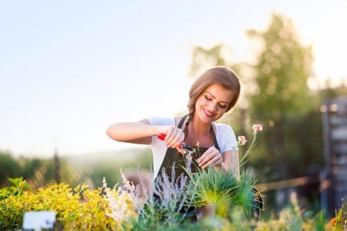 Garden makeover transformation in a Croydon home garden