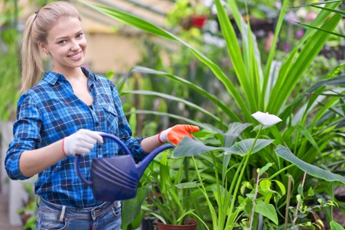 Landscaping team assessing garden safety in Croydon