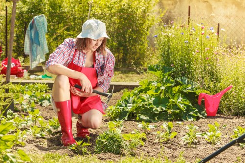 Updated cookie policy notice for Landscaping Croydon