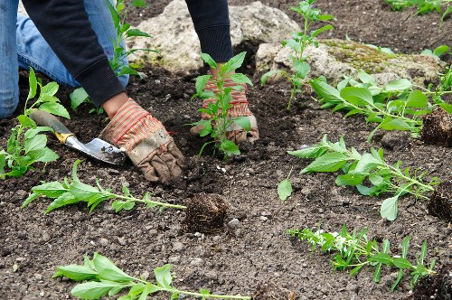 Ongoing monitoring and ethical governance for landscaping services