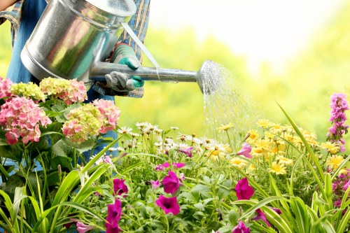 Residential and commercial garden landscaping example in the Croydon area