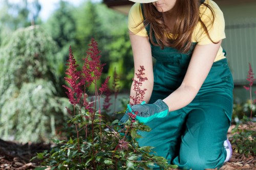 Inclusive landscaping website interface for Croydon visitors