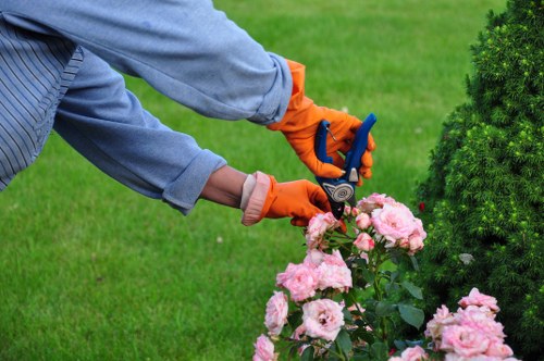 Improving water flow with garden drainage solutions
